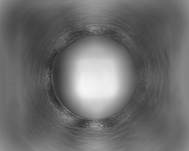 X0000053090702200507251605