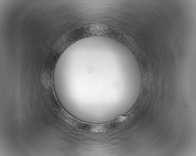 X0000053090705200507251605