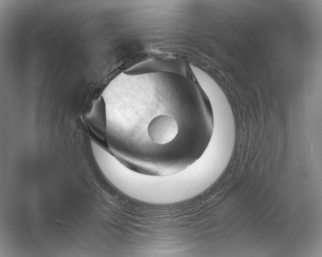 X0000053090707200507251605