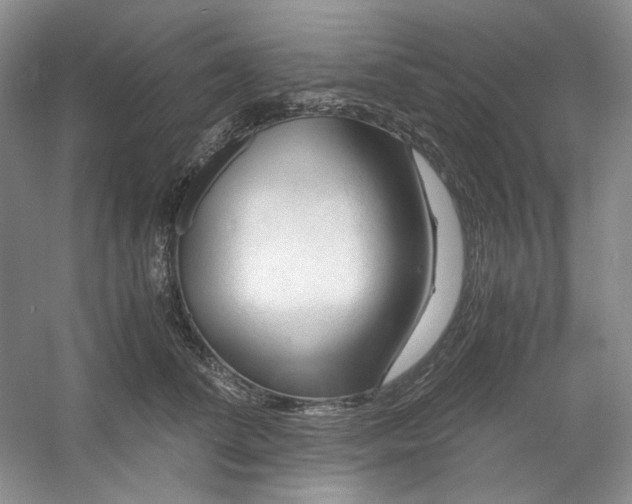 X0000053090708200507251605