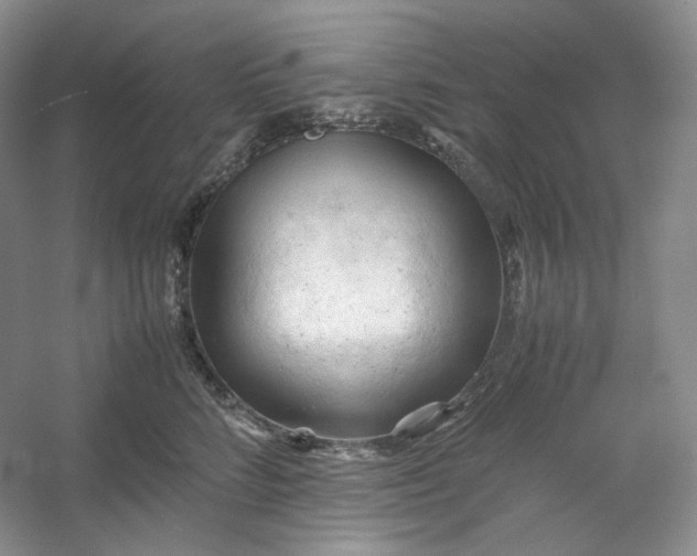 X0000053090712200507251605