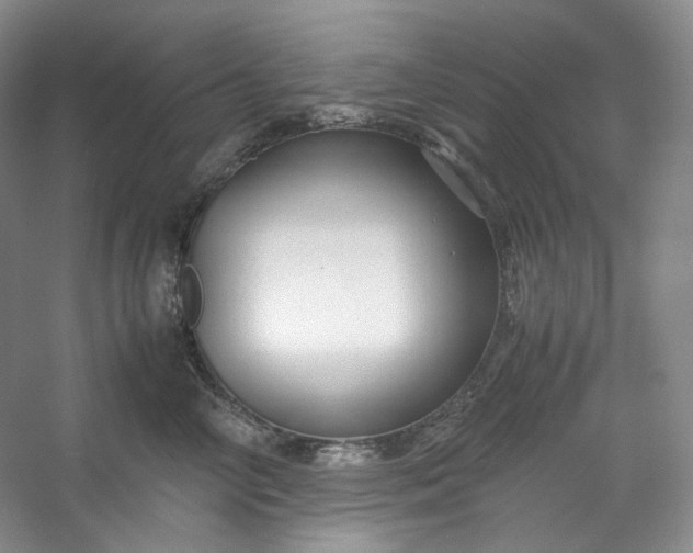 X0000053090714200507251605