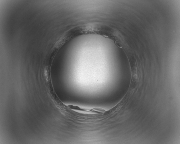 X0000053090715200507251605