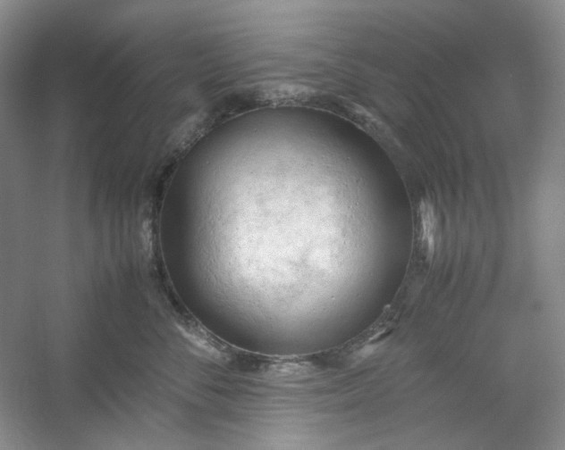 X0000053090716200507251604