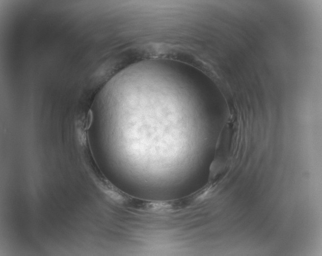 X0000053090719200507251604