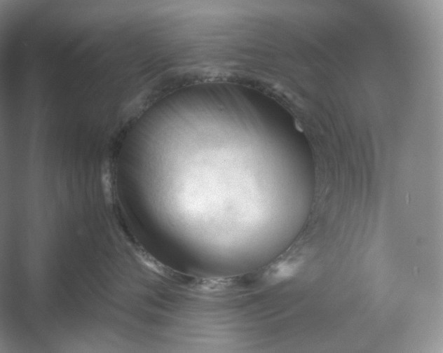 X0000053090720200507251604