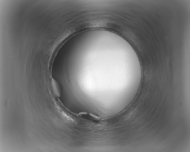 X0000053090721200507251604