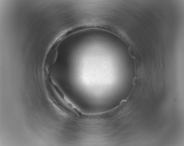 X0000053090722200507251604