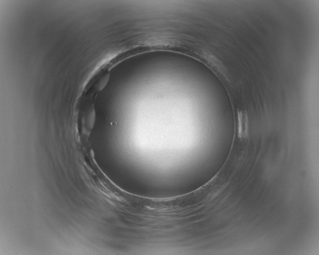 X0000053090723200507251604