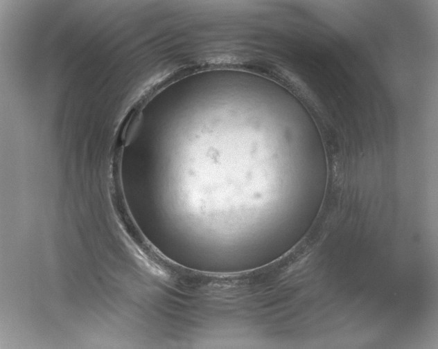 X0000053090725200507251604