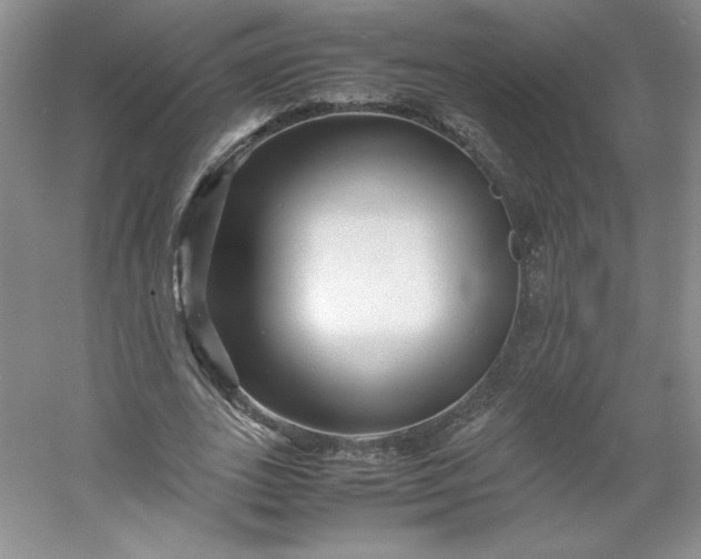 X0000053090727200507251604