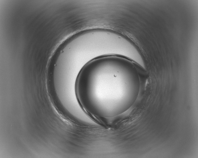 X0000053090728200507251604