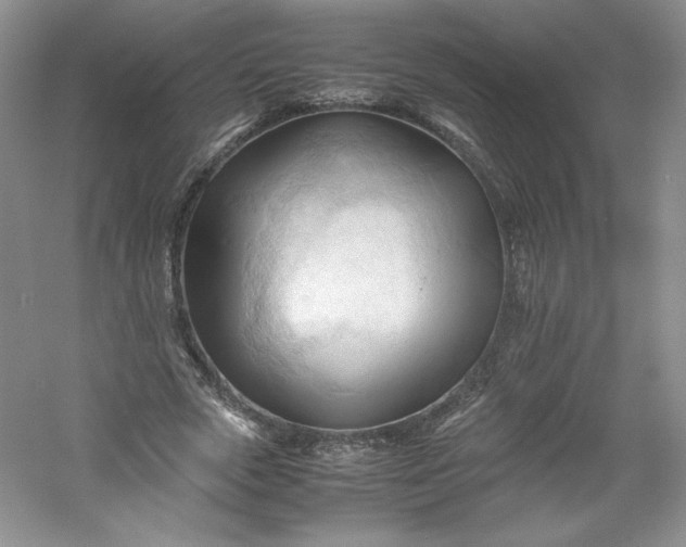 X0000053090729200507251604