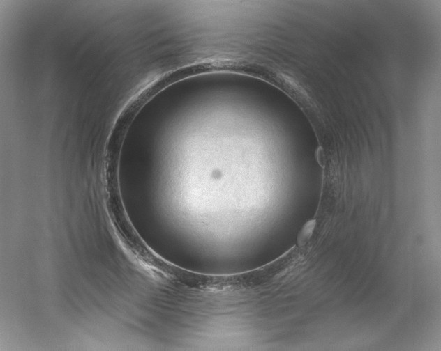 X0000053090730200507251604