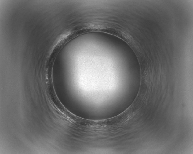 X0000053090731200507251604