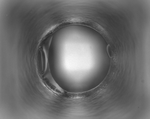 X0000053090732200507251604