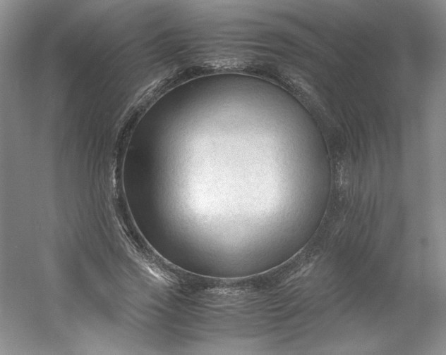 X0000053090733200507251604