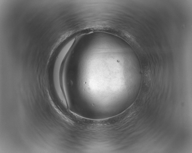 X0000053090734200507251604