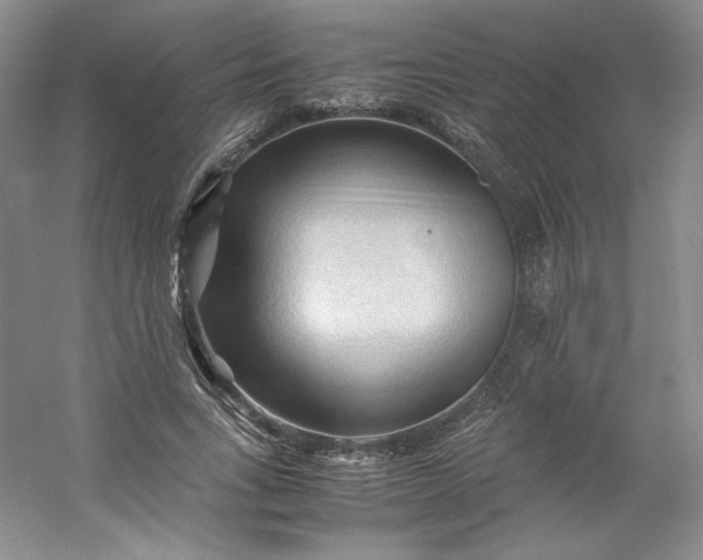 X0000053090735200507251604