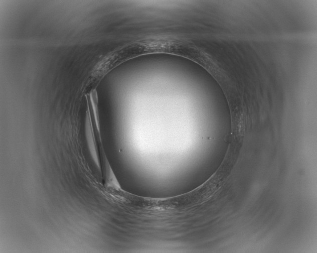 X0000053090737200507251604