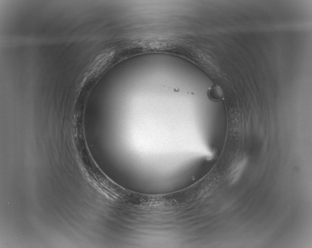 X0000053090738200507251604