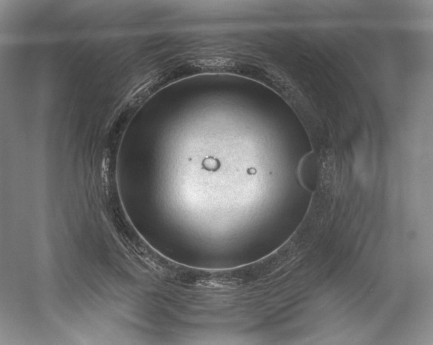 X0000053090739200507251604