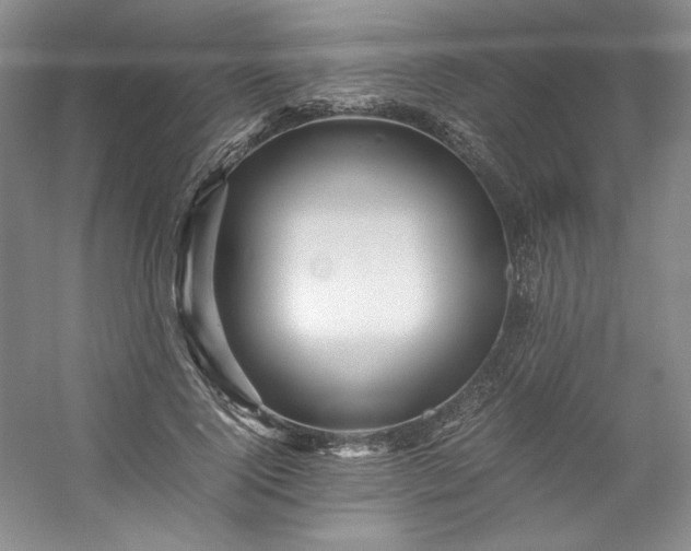 X0000053090740200507251604