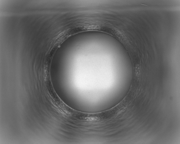 X0000053090741200507251604