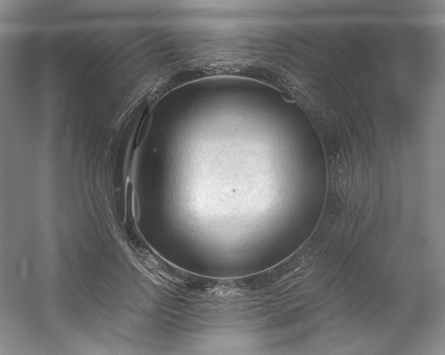 X0000053090742200507251604