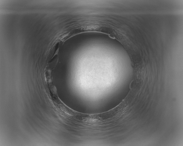 X0000053090743200507251604