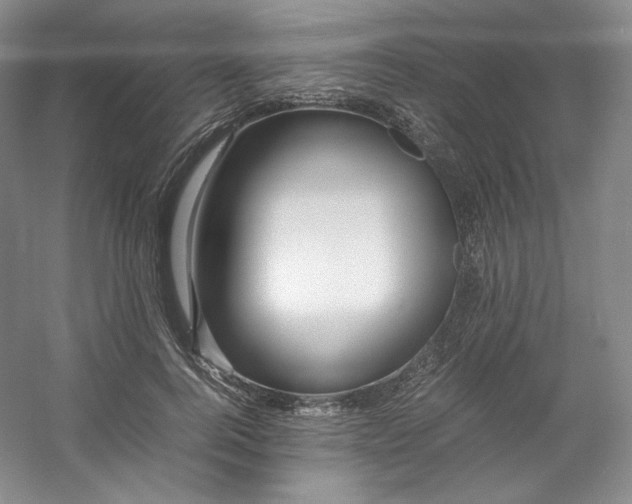 X0000053090744200507251604