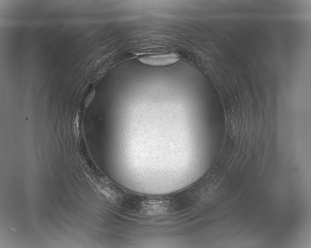 X0000053090745200507251604