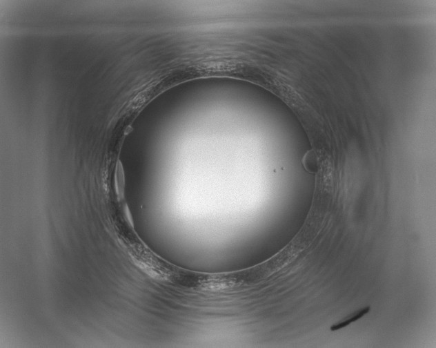 X0000053090746200507251604