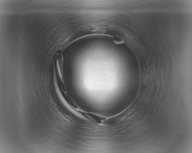 X0000053090748200507251604