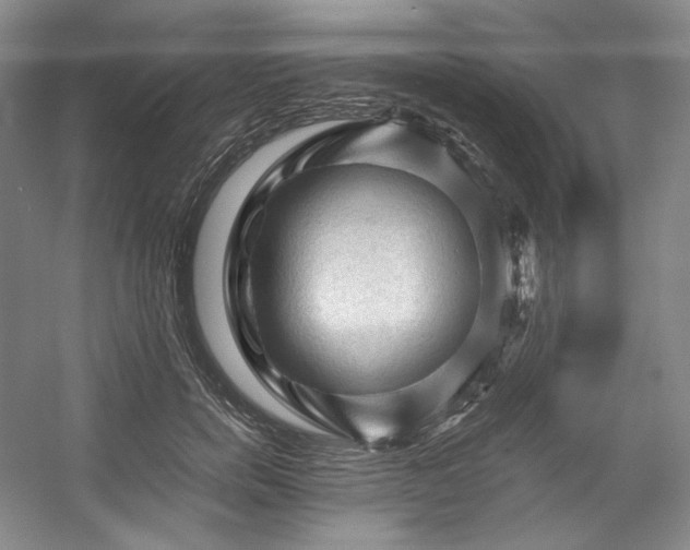 X0000053090750200507251604