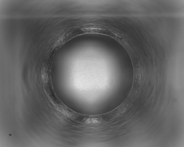 X0000053090751200507251604