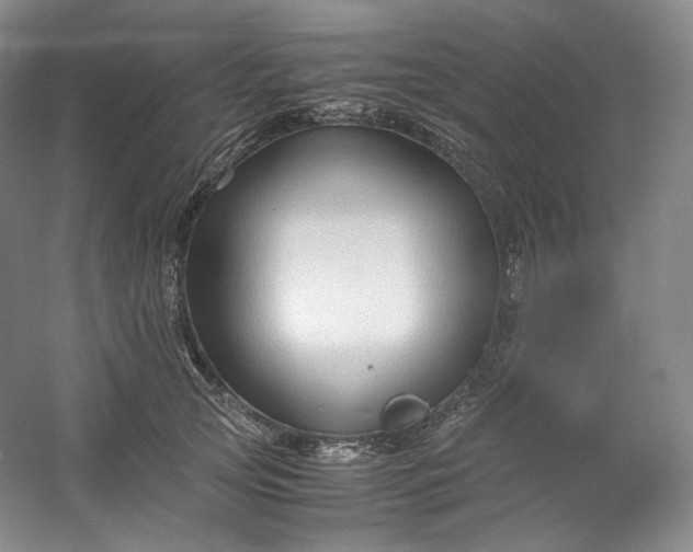 X0000053090753200507251604