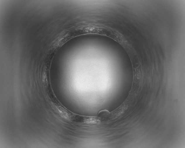 X0000053090754200507251604