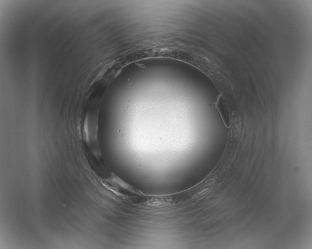 X0000053090756200507251604