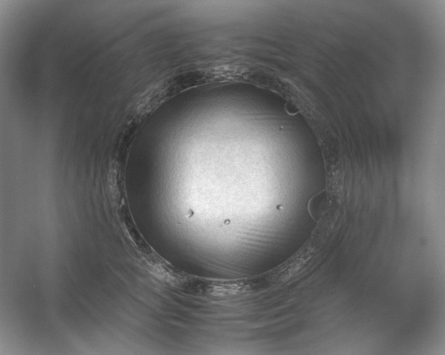 X0000053090757200507251604