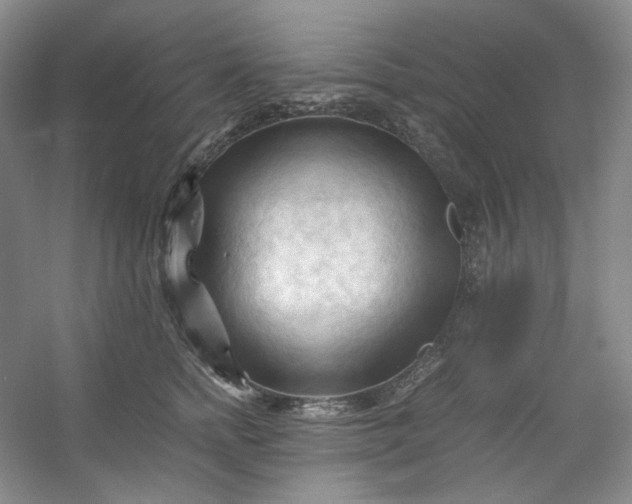 X0000053090758200507251604