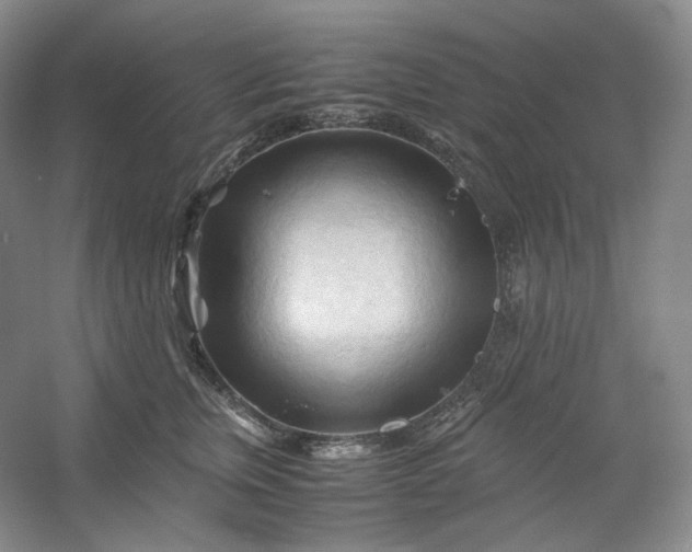 X0000053090759200507251604