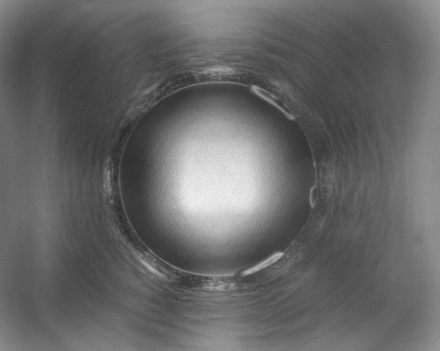 X0000053090760200507251604