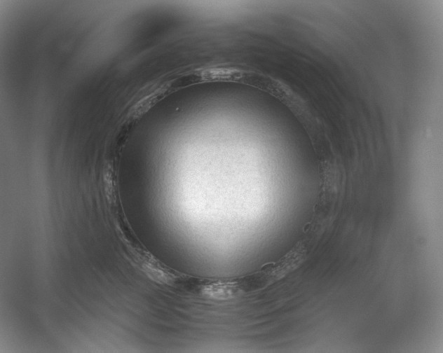 X0000053090761200507251604