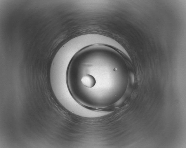 X0000053090762200507251604