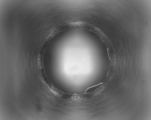 X0000053090764200507251604