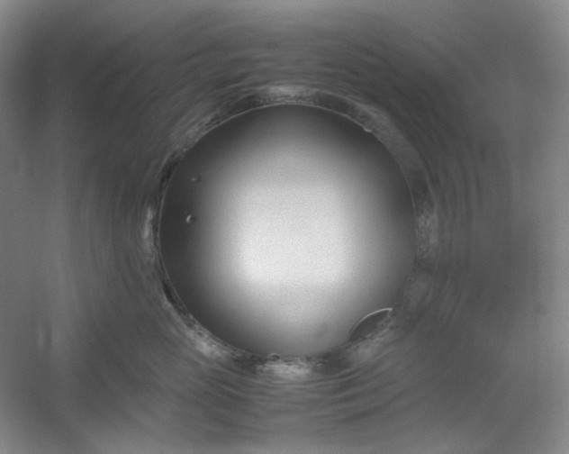 X0000053090765200507251604