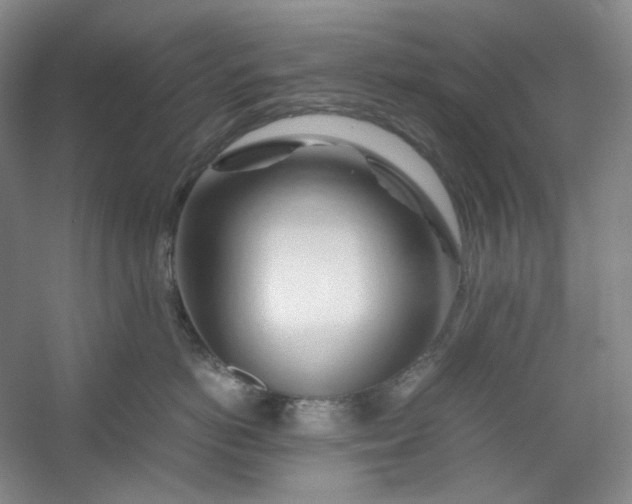 X0000053090766200507251604