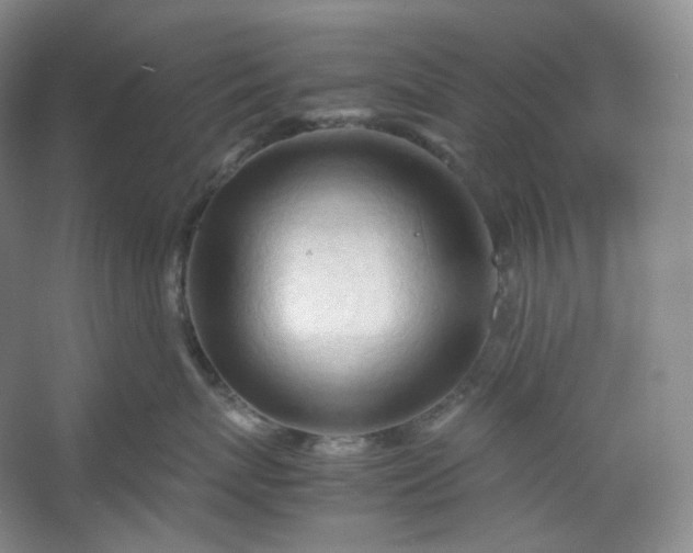 X0000053090767200507251604