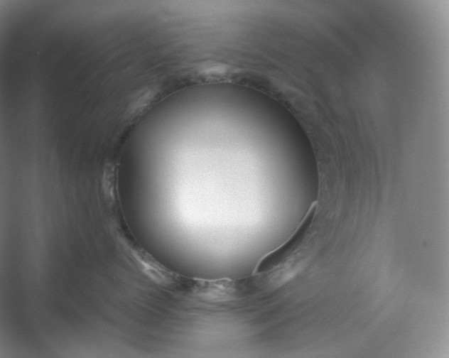 X0000053090768200507251604